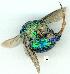  ( - gvc09933-1L)  @13 [ ] Copyright (2004) Unspecified Unspecified