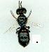  ( - gvc10245-1L)  @13 [ ] Copyright (2004) Unspecified Unspecified