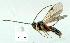  ( - gvc11850-1L)  @13 [ ] Copyright (2004) Unspecified Unspecified