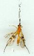  ( - gvc12078-1L)  @12 [ ] Copyright (2004) Unspecified Unspecified