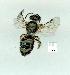  ( - gvc12568-1L)  @12 [ ] Copyright (2004) Unspecified Unspecified