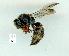  ( - gvc12569-1L)  @13 [ ] Copyright (2004) Unspecified Unspecified
