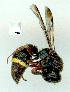  ( - gvc12715-1L)  @13 [ ] Copyright (2004) Unspecified Unspecified