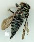  ( - gvc13331-1L)  @13 [ ] Copyright (2004) Unspecified Unspecified
