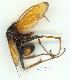  ( - gvc13399-1L)  @13 [ ] Copyright (2004) Unspecified Unspecified
