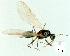  ( - gvc13410-1L)  @12 [ ] Copyright (2004) Unspecified Unspecified