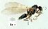  ( - gvc13412-1L)  @13 [ ] Copyright (2004) Unspecified Unspecified