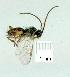  ( - gvc13693-1L)  @12 [ ] Copyright (2004) Unspecified Unspecified