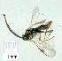  ( - gvc13797-1L)  @12 [ ] Copyright (2004) Unspecified Unspecified