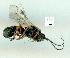  ( - gvc13802-1L)  @12 [ ] Copyright (2004) Unspecified Unspecified