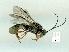  ( - gvc13803-1L)  @12 [ ] Copyright (2004) Unspecified Unspecified