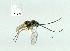  ( - gvc14017-1L)  @12 [ ] Copyright (2004) Unspecified Unspecified
