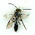  ( - gvc9336-1L)  @12 [ ] Copyright (2004) Unspecified Unspecified