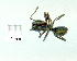  ( - gvc9774-1L)  @12 [ ] Copyright (2004) Unspecified Unspecified