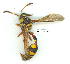  ( - gvc9792-1L)  @13 [ ] Copyright (2004) Unspecified Unspecified