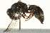  ( - gvc17570-1L)  @14 [ ] CreativeCommons - Attribution (2012) CBG Photography Group Centre for Biodiversity Genomics