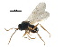  ( - CCDB-28544-F02)  @11 [ ] CreativeCommons - Attribution (2015) CBG Photography Group Centre for Biodiversity Genomics