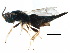  ( - CCDB-28544-G08)  @11 [ ] CreativeCommons - Attribution (2015) CBG Photography Group Centre for Biodiversity Genomics