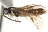  ( - CCDB-28544-H05)  @11 [ ] CreativeCommons - Attribution (2015) CBG Photography Group Centre for Biodiversity Genomics