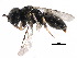  ( - CCDB-28545-C07)  @11 [ ] CreativeCommons - Attribution (2015) CBG Photography Group Centre for Biodiversity Genomics
