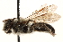  ( - CCDB-28545-H04)  @11 [ ] CreativeCommons - Attribution (2015) CBG Photography Group Centre for Biodiversity Genomics