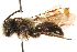  ( - CCDB-28545-H07)  @11 [ ] CreativeCommons - Attribution (2015) CBG Photography Group Centre for Biodiversity Genomics