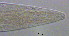  ( - OUCJ090605)  @11 [ ] CreativeCommons - Attribution Non-Commercial Share-Alike (2022) Hong Zhou Ocean University of China