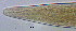  ( - OUCJ090606)  @11 [ ] CreativeCommons - Attribution Non-Commercial Share-Alike (2022) Hong Zhou Ocean University of China