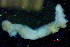  ( - OUCJ140202)  @11 [ ] CreativeCommons - Attribution Non-Commercial Share-Alike (2021) Hong Zhou Ocean University of China