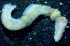  ( - OUCJ140202)  @11 [ ] CreativeCommons - Attribution Non-Commercial Share-Alike (2021) Hong Zhou Ocean University of China