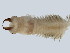  ( - BIOUG03550-A02)  @14 [ ] CreativeCommons - Attribution Non-Commercial Share-Alike (2012) College of Marine Life Science Ocean University of China