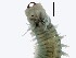  ( - BIOUG03550-A04)  @14 [ ] CreativeCommons - Attribution Non-Commercial Share-Alike (2012) College of Marine Life Science Ocean University of China