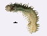  ( - BIOUG03550-A05)  @14 [ ] CreativeCommons - Attribution Non-Commercial Share-Alike (2012) College of Marine Life Science Ocean University of China