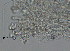  ( - BIOUG06647-D12)  @11 [ ] CreativeCommons - Attribution Non-Commercial Share-Alike (2013) Hong Zhou Ocean University of China