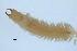  ( - BIOUG06836-C08)  @13 [ ] CreativeCommons - Attribution Non-Commercial Share-Alike (2014) Hong Zhou Ocean University of China