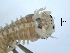  ( - BIOUG06836-D04)  @13 [ ] CreativeCommons - Attribution Non-Commercial Share-Alike (2014) Hong Zhou Ocean University of China