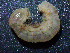  ( - OUCSYS1405D12001)  @11 [ ] CreativeCommons - Attribution Non-Commercial Share-Alike (2016) Hong Zhou Ocean University of China