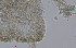  ( - OUCSYS1404D14002)  @11 [ ] CreativeCommons - Attribution Non-Commercial Share-Alike (2016) Hong Zhou Ocean University of China