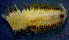  ( - OUCJ040102)  @11 [ ] CreativeCommons - Attribution Non-Commercial Share-Alike (2021) Hong Zhou Ocean University of China