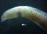  ( - OUCQDBSB1512LC10301)  @11 [ ] CreativeCommons - Attribution Non-Commercial Share-Alike (2018) Hong Zhou Ocean University of China