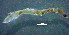  ( - OUCQDBSB1512MC40402)  @11 [ ] CreativeCommons - Attribution Non-Commercial Share-Alike (2018) Hong Zhou Ocean University of China