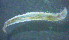  ( - OUCQDBSB1512MP20201)  @11 [ ] CreativeCommons - Attribution Non-Commercial Share-Alike (2018) Hong Zhou Ocean University of China