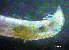  ( - OUCQDBSB1512MP20201)  @11 [ ] CreativeCommons - Attribution Non-Commercial Share-Alike (2018) Hong Zhou Ocean University of China