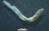  ( - OUCQDBSB1512MP30402)  @11 [ ] CreativeCommons - Attribution Non-Commercial Share-Alike (2018) Hong Zhou Ocean University of China