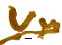  (Euclymene lombricoides - OUCT3)  @13 [ ] CreativeCommons - Attribution Non-Commercial Share-Alike (2013) Hong Zhou Ocean University of China