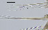  ( - OUCQDBSB1512LC2001)  @11 [ ] CreativeCommons - Attribution Non-Commercial Share-Alike (2016) Hong Zhou Ocean University of China