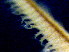  ( - OUCQDBSB1512LC2001)  @11 [ ] CreativeCommons - Attribution Non-Commercial Share-Alike (2016) Hong Zhou Ocean University of China
