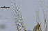  ( - OUCQDBSB1512LC2001)  @11 [ ] CreativeCommons - Attribution Non-Commercial Share-Alike (2016) Hong Zhou Ocean University of China