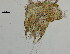  ( - OUCQDBSB1512LC2001)  @11 [ ] CreativeCommons - Attribution Non-Commercial Share-Alike (2016) Hong Zhou Ocean University of China
