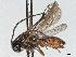  ( - CNC1968753)  @11 [ ] CreativeCommons - Attribution (2022) CBG Photography Group Centre for Biodiversity Genomics